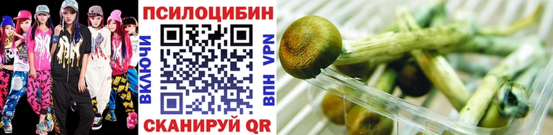 Галлюциногенные грибы Psilocybine cubensis Лаишево